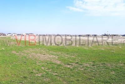 Corbeanca - Tamas, teren intravilan 19.325 mp - 4