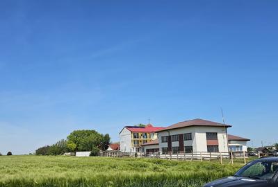 Costinesti / Frontal la mare/Forum /Golful Francez - 6