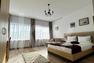 Vila cu 8 camere de vanzare - Arena Platos Paltinis - 11