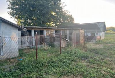 Casă cu 2 camere cu Teren 1414 Mp în Criș - 2