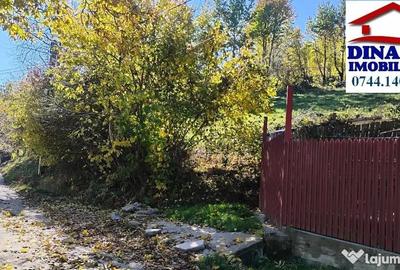 Teren de 3600 mp, în Alexandru cel Bun - 5