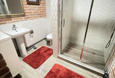 Casă cu 2 camere în Copou - 9
