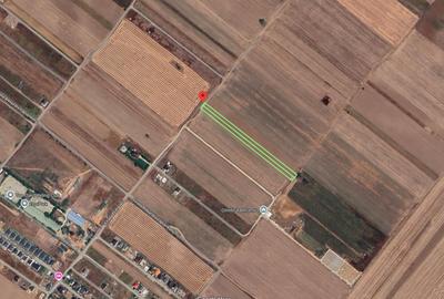 Teren agricol extravilan de 1660 mp, în Berceni - 1