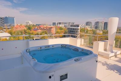 Penthouse cu 4 camere decomandat, mobilat în Floreasca - 1