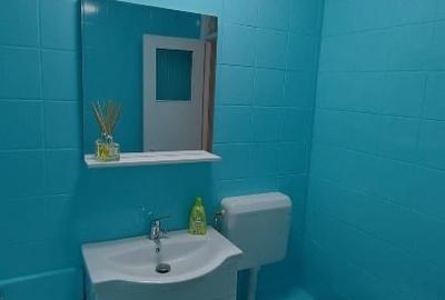 Apartament cu 2 camere semidecomandat în Gorjului - 7