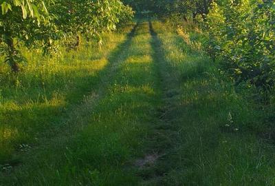 Casă în Stolniceni-Prăjescu