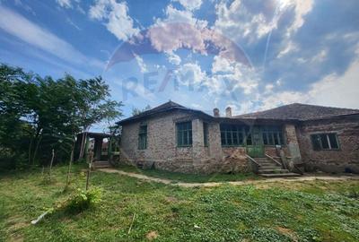 Vanzare AFACERE PROFITABILA si IMOBIL 324 mp cu teren 5077 mp Ghioroc - 5