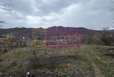 Teren agricol extravilan de 1006 mp, în Brebu - 2