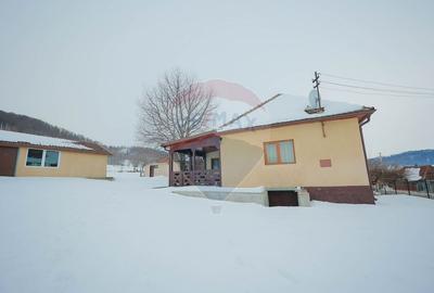 Casă cu 4 camere cu Teren 2000 Mp în Damiș - 35