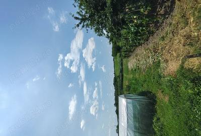 Gospodarie de vanzare Calui jud. Olt - 10