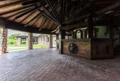 Casă cu 6 camere cu Teren 4000 Mp în Snagov - 5