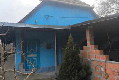 Casă cu 4 camere cu Teren 662 Mp în Periam - 9