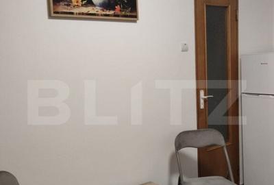 Garsoniera centrala intr-un bloc reabilitat, ideala pent - 4