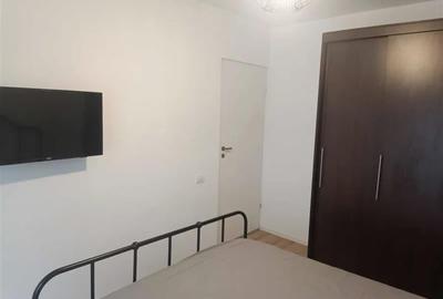 Inchiriere Apartament 2 Camere Decomandat Berceni-Secuilor - 4