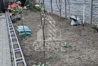 Triplex cu 3 camere, 2 bai, regim de inaltime P+1, Sanandrei - 12