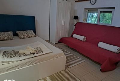 Casă cu Teren 2000 Mp în Tărtășești - 7