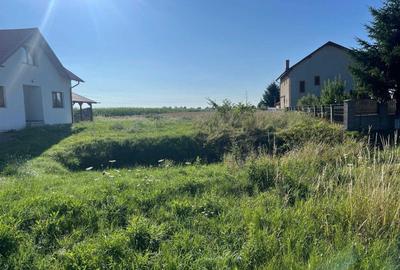 Teren de 7700 mp, în Cotu Băii - 4