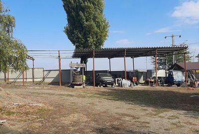Casă cu Teren 10500 Mp în Vârteșcoiu - 11