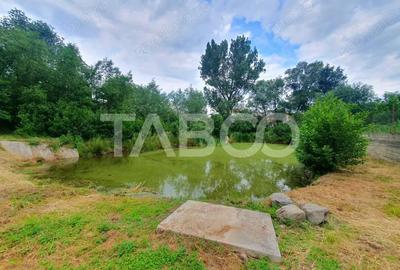 Teren de 1500 mp, în Săcel - 8