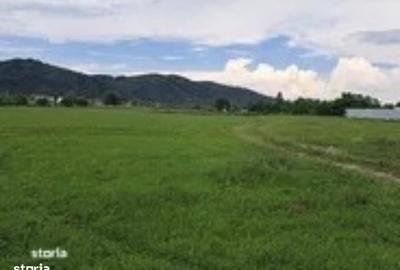 Teren de 17500 mp, în Central - 10