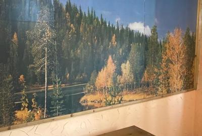 Casă cu 2 camere în Central - 4