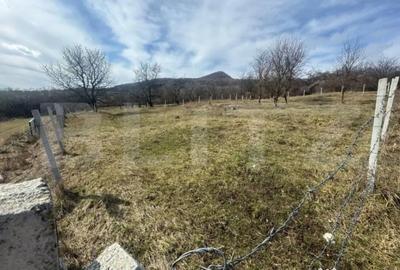 Teren de 1000 mp, în Central - 2