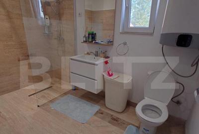 Casa de vacan?a, Brestova? - 12