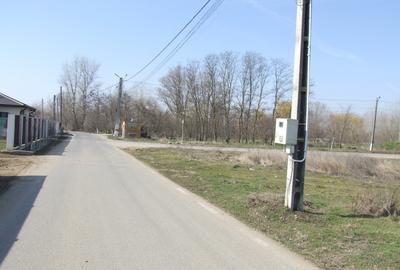 Teren Construcții intravilan de 6784 mp, în Domnești - 2