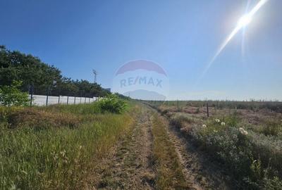 Teren de vanzare 1,070 mp Ovidiu / Academia Hagi - 6