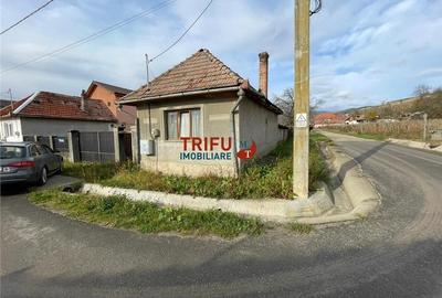 Casa 3 camere de vanzare in comuna Cricau cu 1200 mp teren - 12