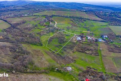 Teren de 33500 mp, în Bucov - 3