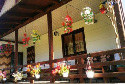 Casă cu 7 camere cu Teren 499 Mp în Tulnici - 20