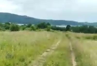 Teren de 11600 mp, în Fârdea - 2