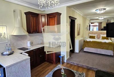 Spațiu comercial, de 437 mp, în Lazaret - 14
