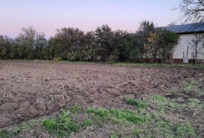 Teren intravilan Plataresti 1500 mp 20 km distanta de Bucuresti - 2