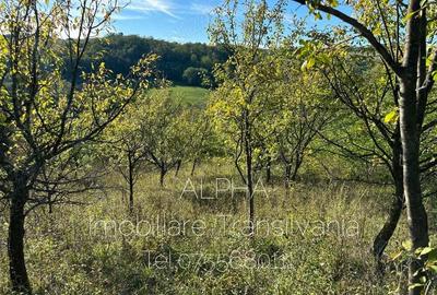 Teren intravilan in Fetindia - 2