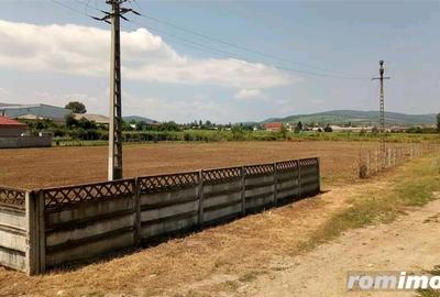 Teren de 4300 mp, în Sud - 5