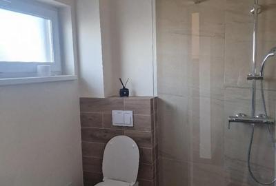 Casă cu 2 camere cu Teren 350 Mp în Dumbrăvița - 2