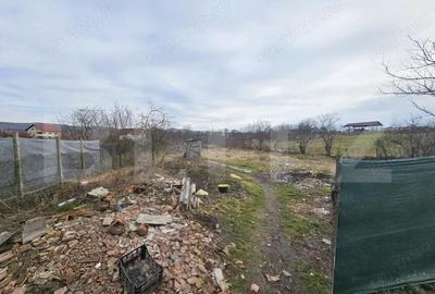 Casă cu Teren 1134 Mp în Sâncrai - 12