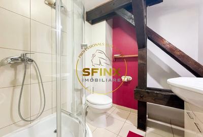 Casa 7 camere, curte individuala, loc de parcare Tei - Parcul Circului - 11