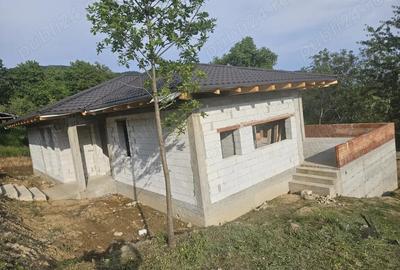 Casa la rosu in cicarlau - 3