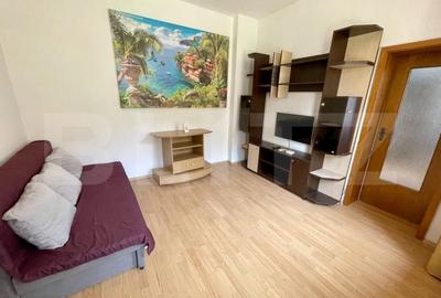 Apartament la curte, 2 camere, CT, AC, zona Facultatea de Medicina - 3