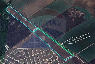Teren Construcții intravilan de 193500 mp, în Tărtășești