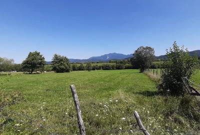 Teren de 9350 mp, în Exterior Vest - 4