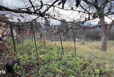 Casă cu 4 camere în Petros - 11