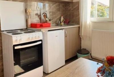 Garsoniera de inchiriat in Dristor - 1