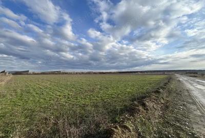 Teren de 11510 mp, în Cihei - 8