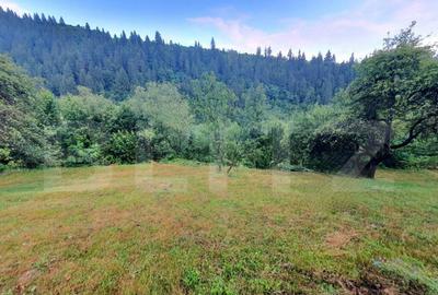 Teren intravilan, 31 ari, Ilva Mica, zona montana - 4