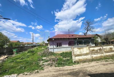 Teren de 975 mp, în Cernica - 3