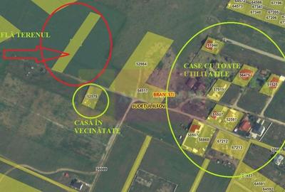Teren pentru casa/case in Branesti pe strada Toporasi - 3